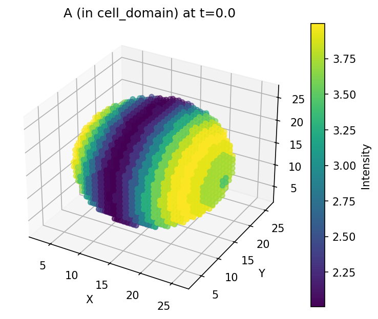 3D slice of species A
