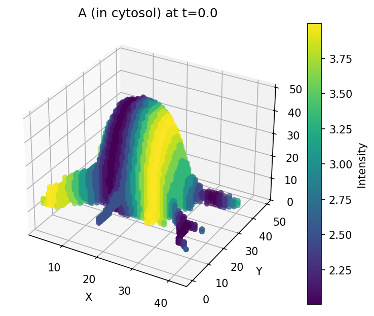 3D slice of species A